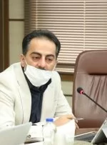 حضور دولت در ۲۰ درصد بازار خودرو قانونی است!