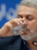 سخنگو دولت برای وزیر صمت سنگ تمام گذاشت/استیضاح کمترین کار در حق فاطمی امین است