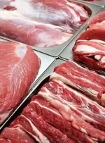 گوشت قرمز در آستانه میلیونی شدن/ ترخیص‌گوشت‌های یک‌ساله با اوج‌گیری قیمت‌ها!