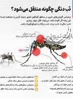 علائم تب دنگی در یک نگاه/تب دنگی چگونه منتقل می‌شود؟