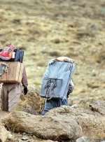 تصمیم مهم دولت درباره کولبری و ته‌لنجی