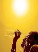 هشدار گرمای شدید؛ احتمال تخریب محصولات کشاورزی و گرمازدگی