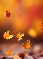 پاییز کم‌بارشی در راه است